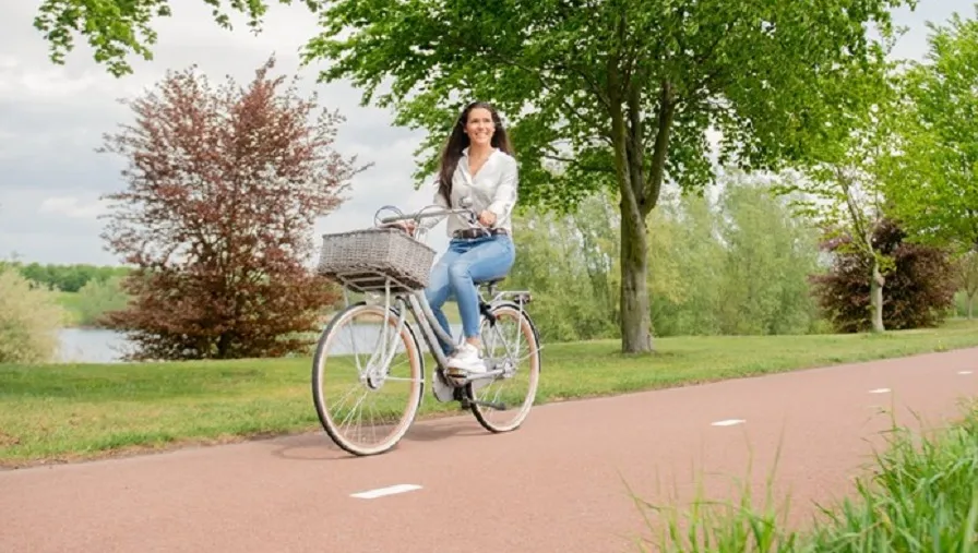 335876987 202207825749742 4854932363845574001 n