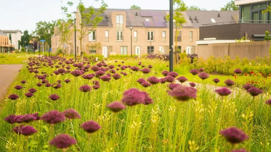 448202826 857399776423968 9122626565341897145 n