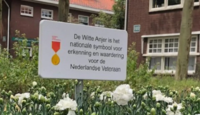 anjer