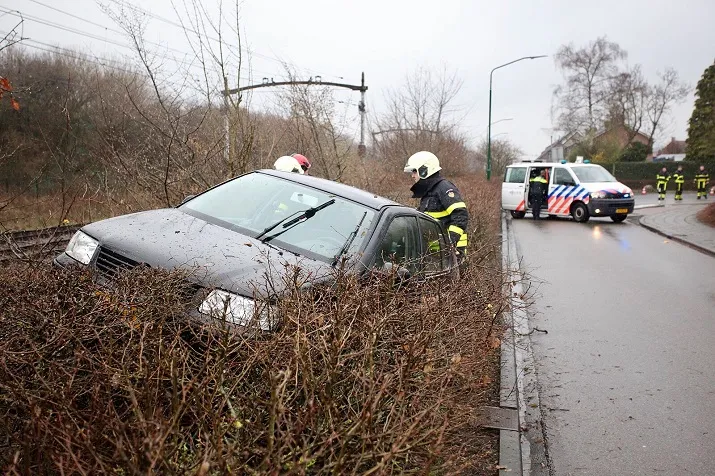 auto in bosjes rijen 1