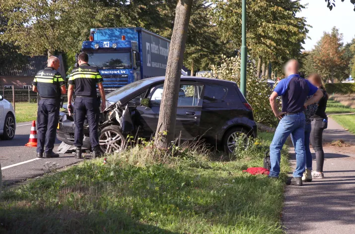 auto rijdt boom uit de grond