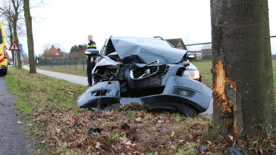 auto tegen boom