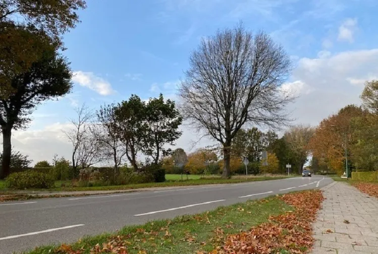 biestraat 12
