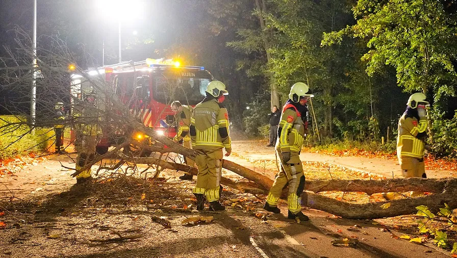 boom over de weg statenlaan