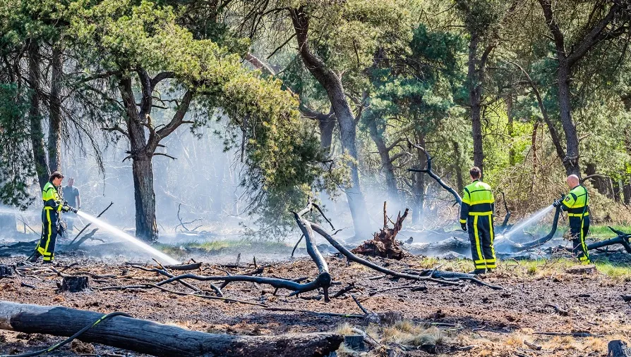 bosbrand jack brekelmans