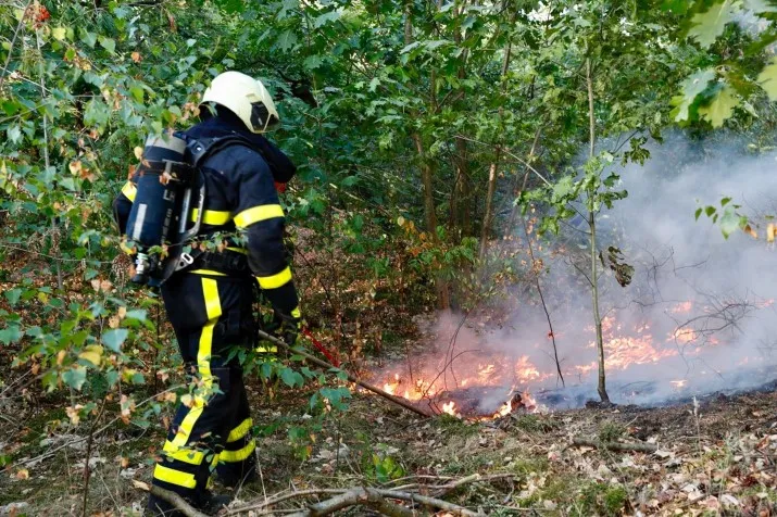 bosbrand molenschot