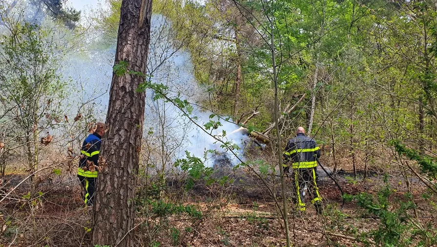 bosbrand sportparkweg