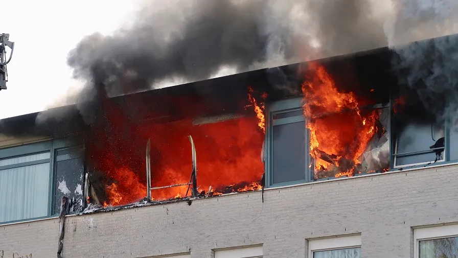 brand 2