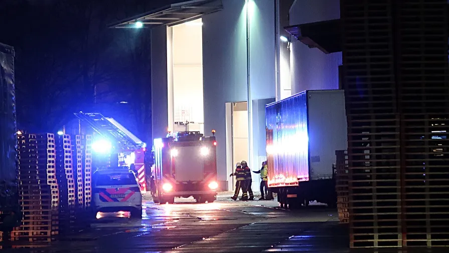 brand dongen