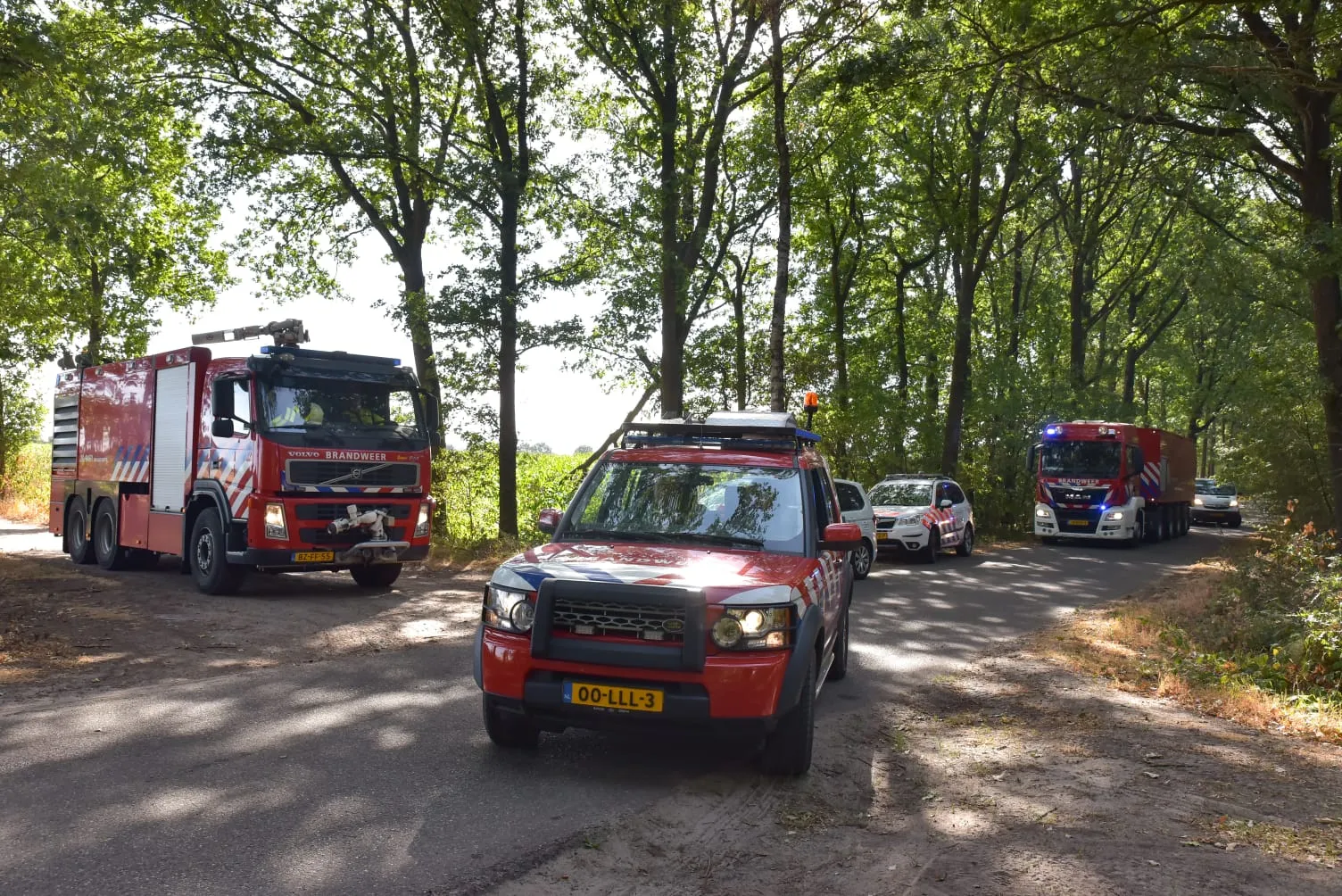 brand gilze