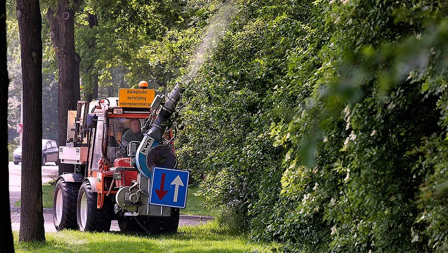 csm eikenprocessie rups 2020 bij 79ad5bf156