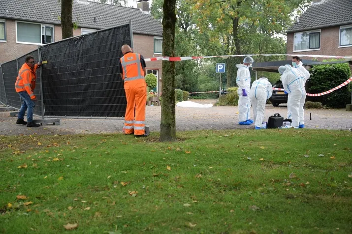 dode houtelaar rijen 1