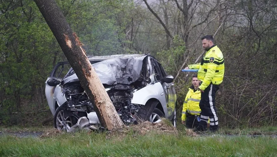 dodelijk ongeval molenschot