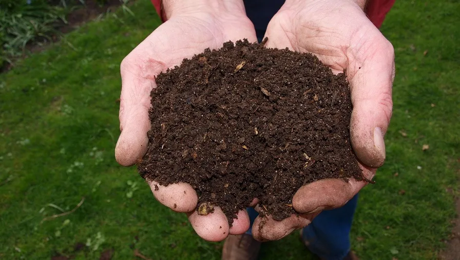 fresh 2386786 1920 1