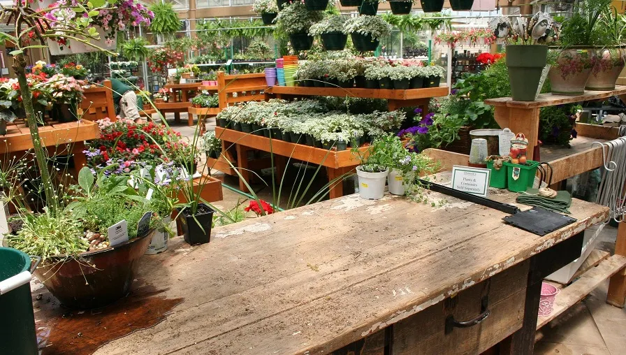 garden center g2dce5b502 1920