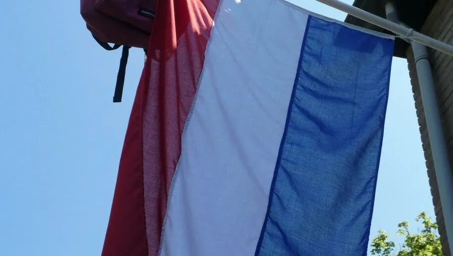 geslaagd elsemargriet via pixabay 915x518 1