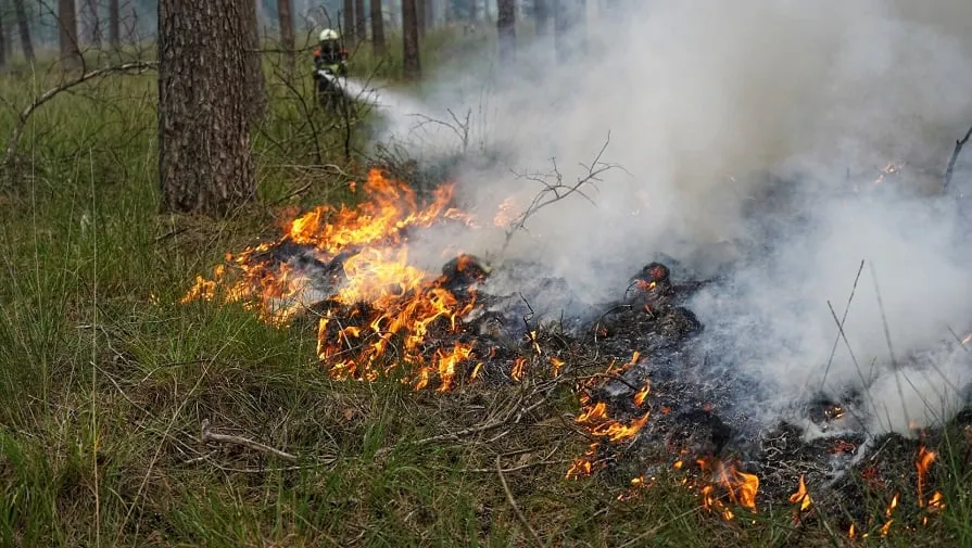 grote brand chaamse bossen