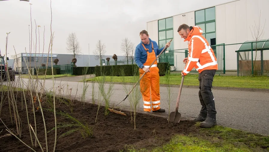 haansbergbeplanting 1218738