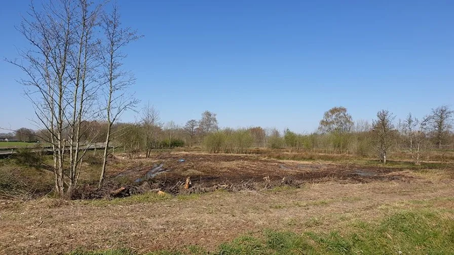 hannie schaftlaan water opvang