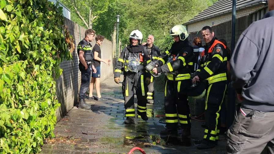 heg in brand