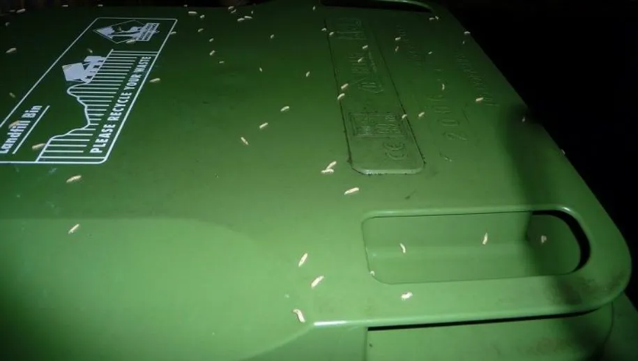 maden op container broken key 915x518