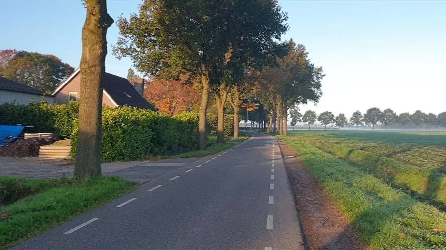 molenschot