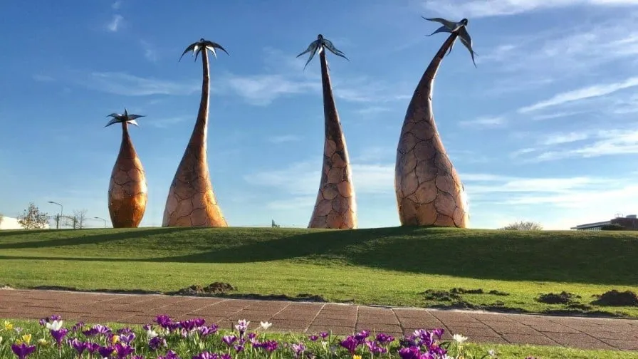 palmbomen