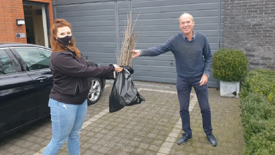 planten actie