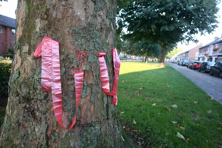 poepzakjes aan bomen rijen