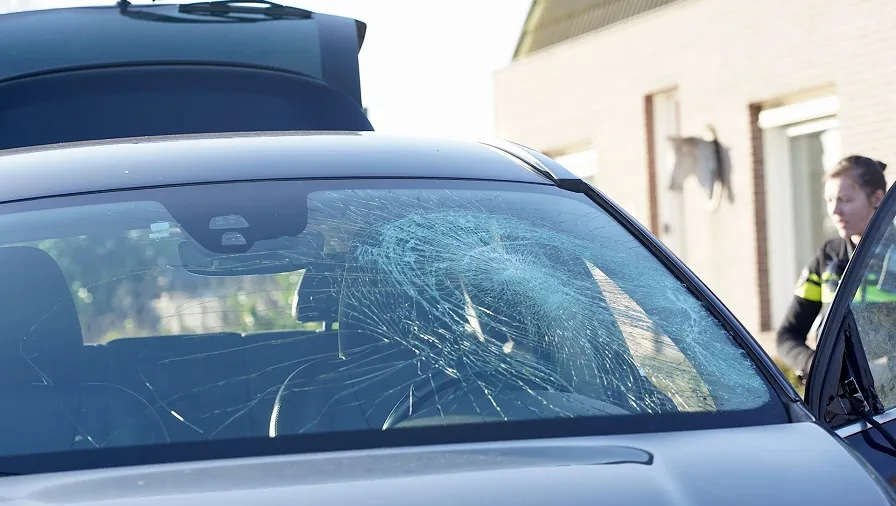 schoolstraat molenschot