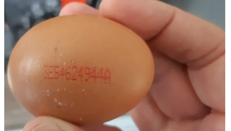 spaanse eieren 3es4624944a 915x518