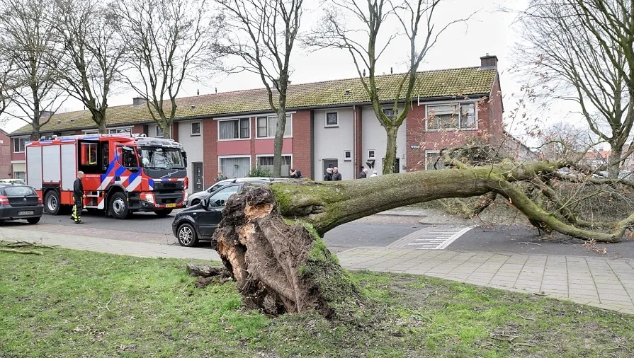 stormschade edisonlaan