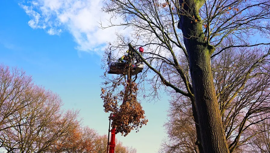 stormschade rijksweg