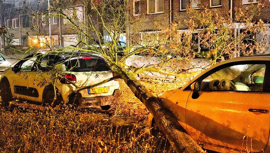 stormschade