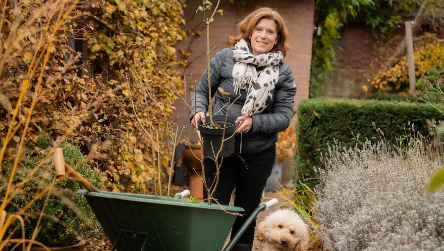 subsidieregeling vergroenen tuinen of daken 2