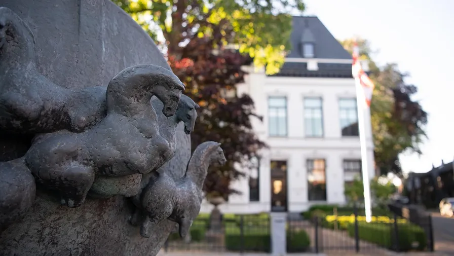 vetplein