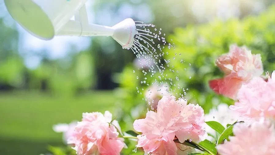 water geven