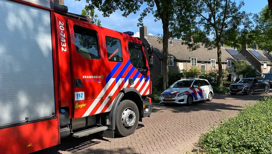 zaaren rijen
