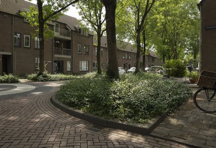 csm 2024 08 12 gr sterkenhoeve van start 2d6a5e5907