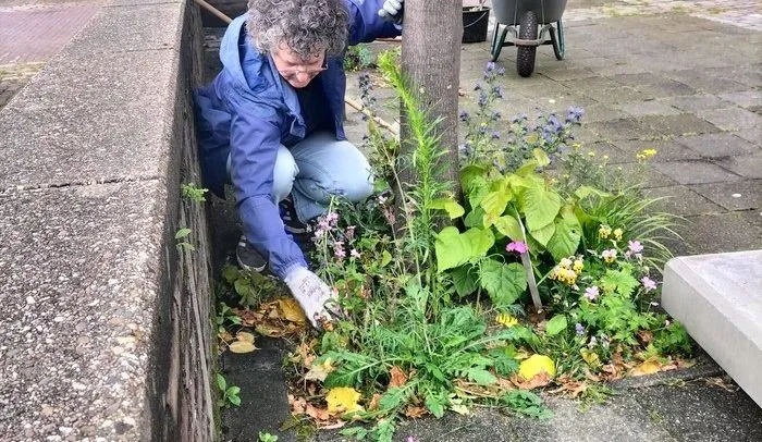 csm 2024 11 04 gr beeld bij boomspiegeltuintje internet 0ef5c09953