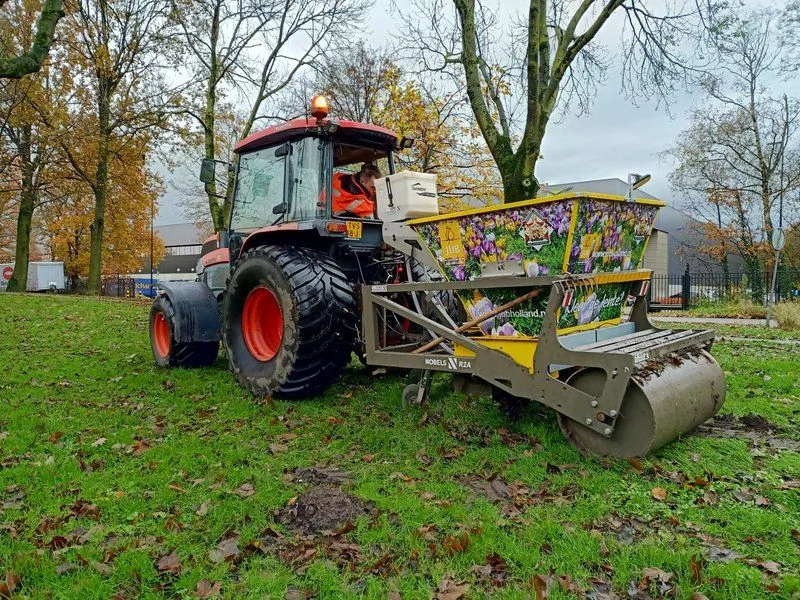 csm 2024 11 26 gr f i li w kleurrijke bloembollen in de burgemeester krollaan foto bloembollen 3 3f3eebeea2