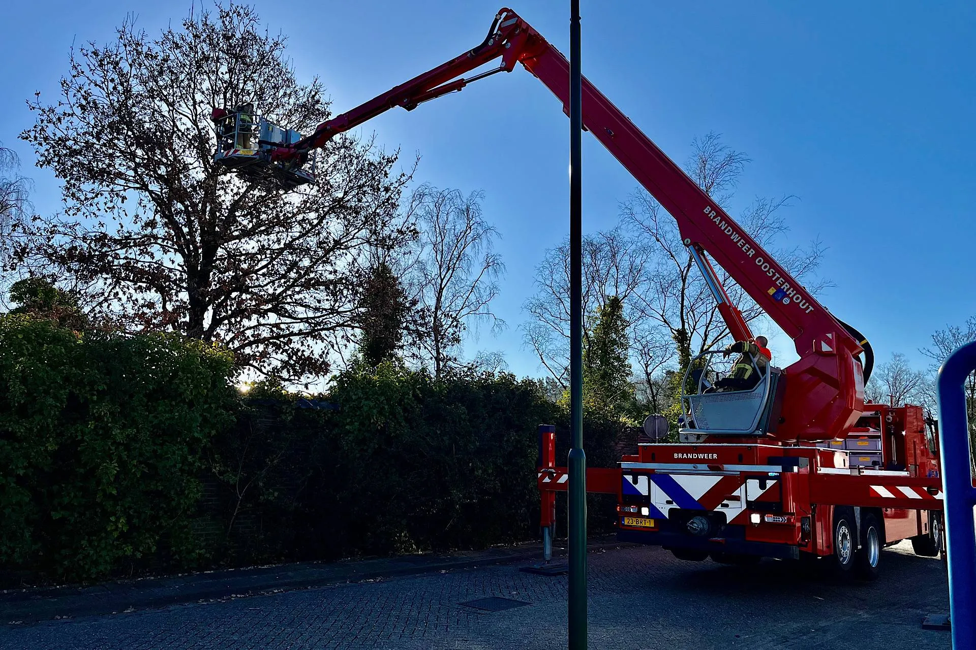 jeroen stuve 20250318084954 1