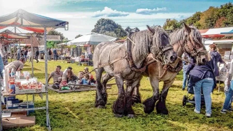 boerenfair23