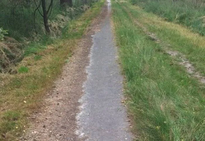 csm_2025-08-27_AC_GR_IF_Insta_Oude_fietspaden_weg_uit_Chaamse_Bossen_1867767692