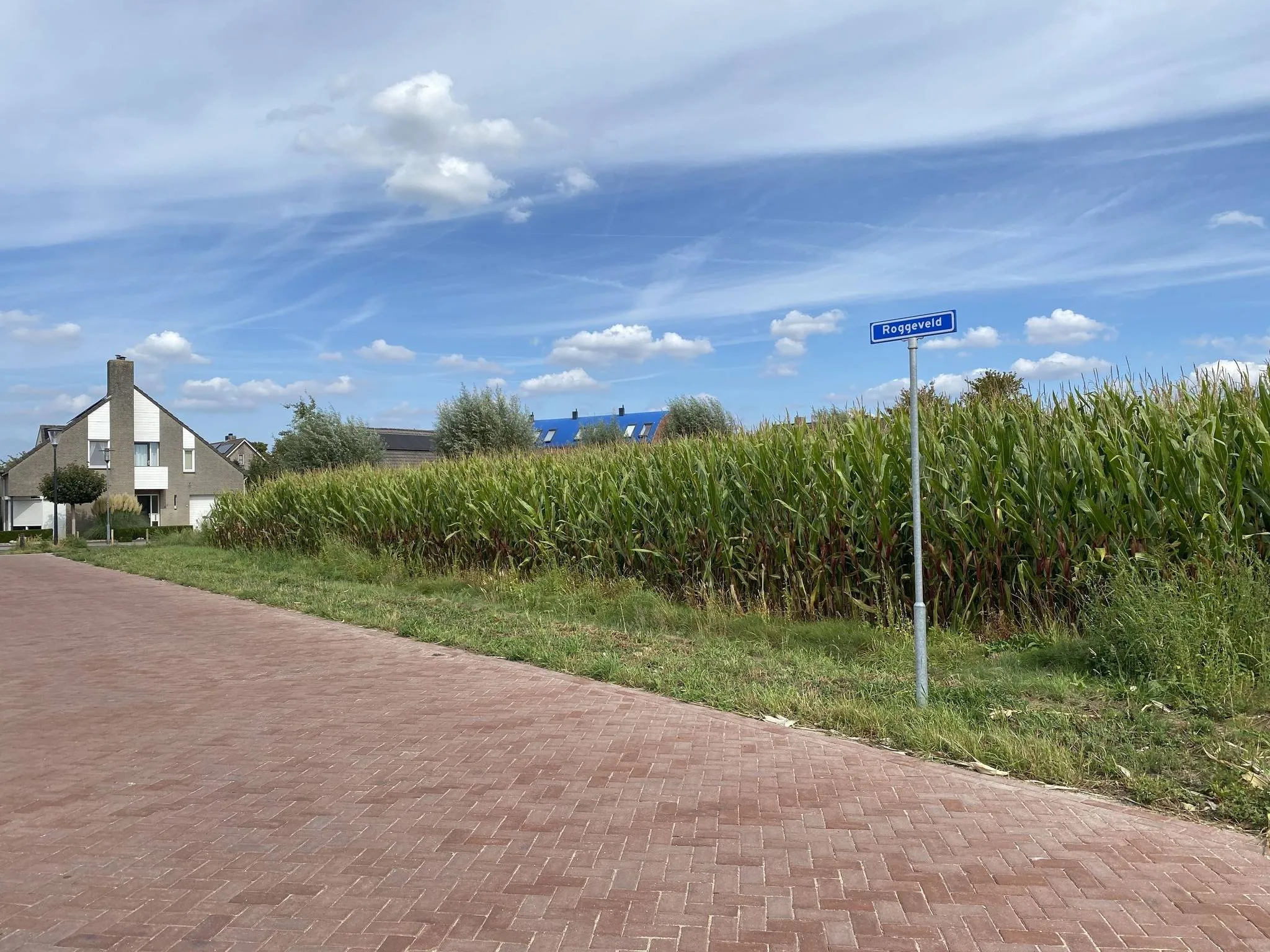 545594855_1192484252915517_5152872973568380480_n