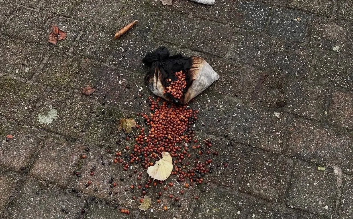 573100246_18141804619447388_6098677111559296965_n