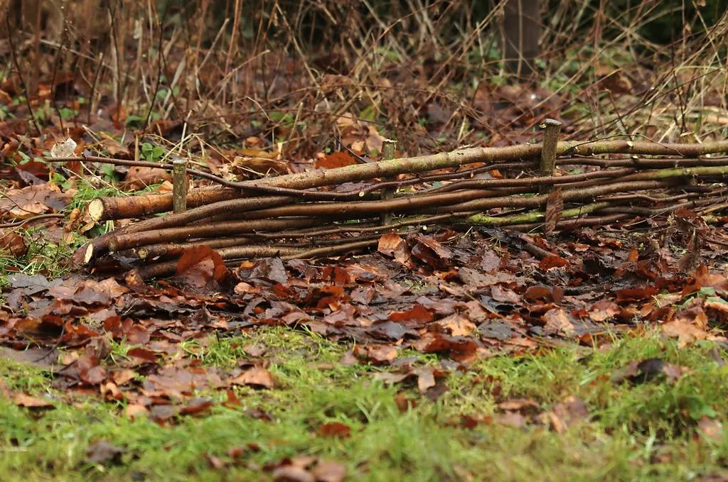 580027161_1250824533748155_9004800631020441163_n