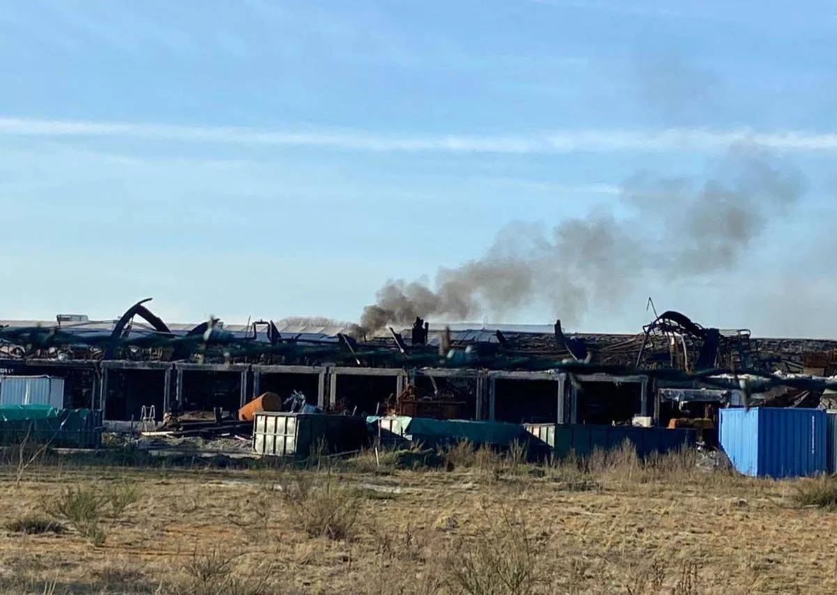 WhatsApp Image 2026-01-17 at 14.47.53