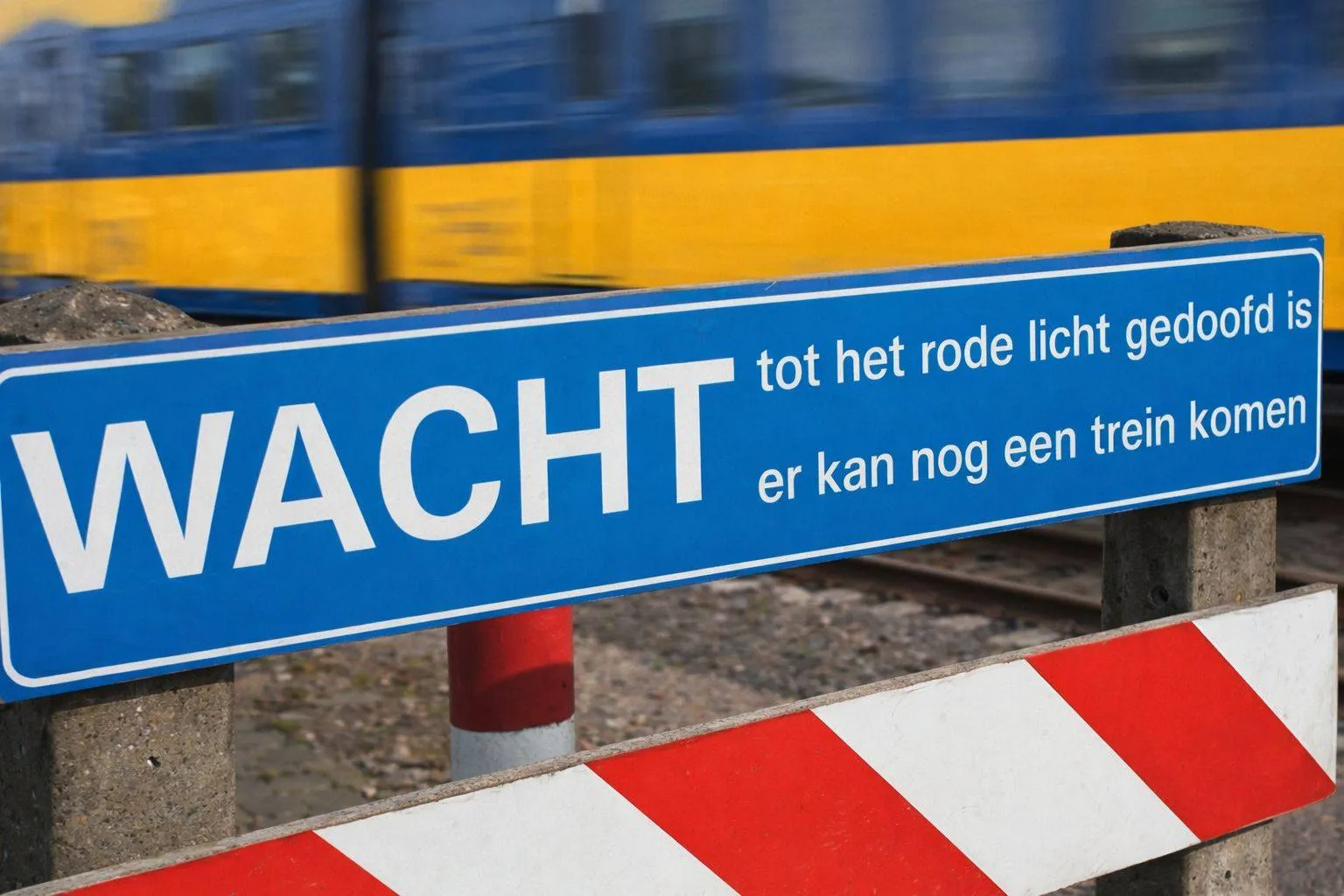 651286335_1297160175877843_2701838212871972708_n