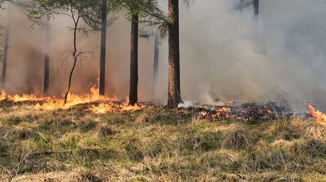 0ab0ba3b-8fe0-4238-82b8-bdebf8bda845 (1)